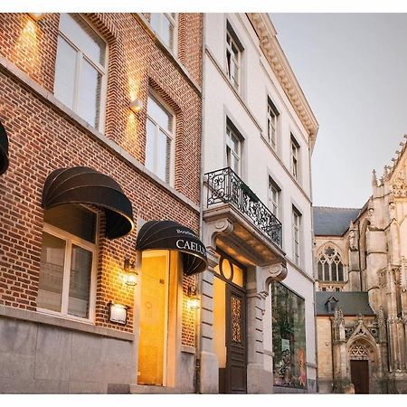 Boutique Hotel Caelus VII Tongeren Eksteriør billede