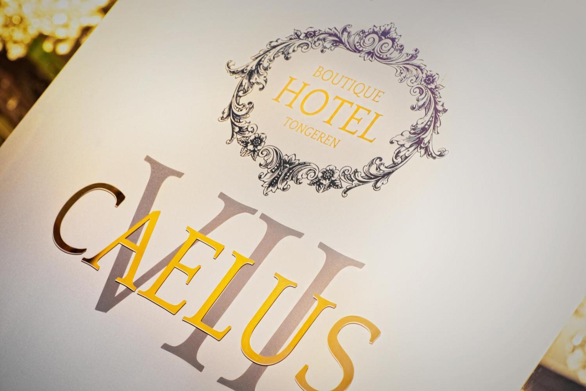 Boutique Hotel Caelus VII Tongeren Eksteriør billede
