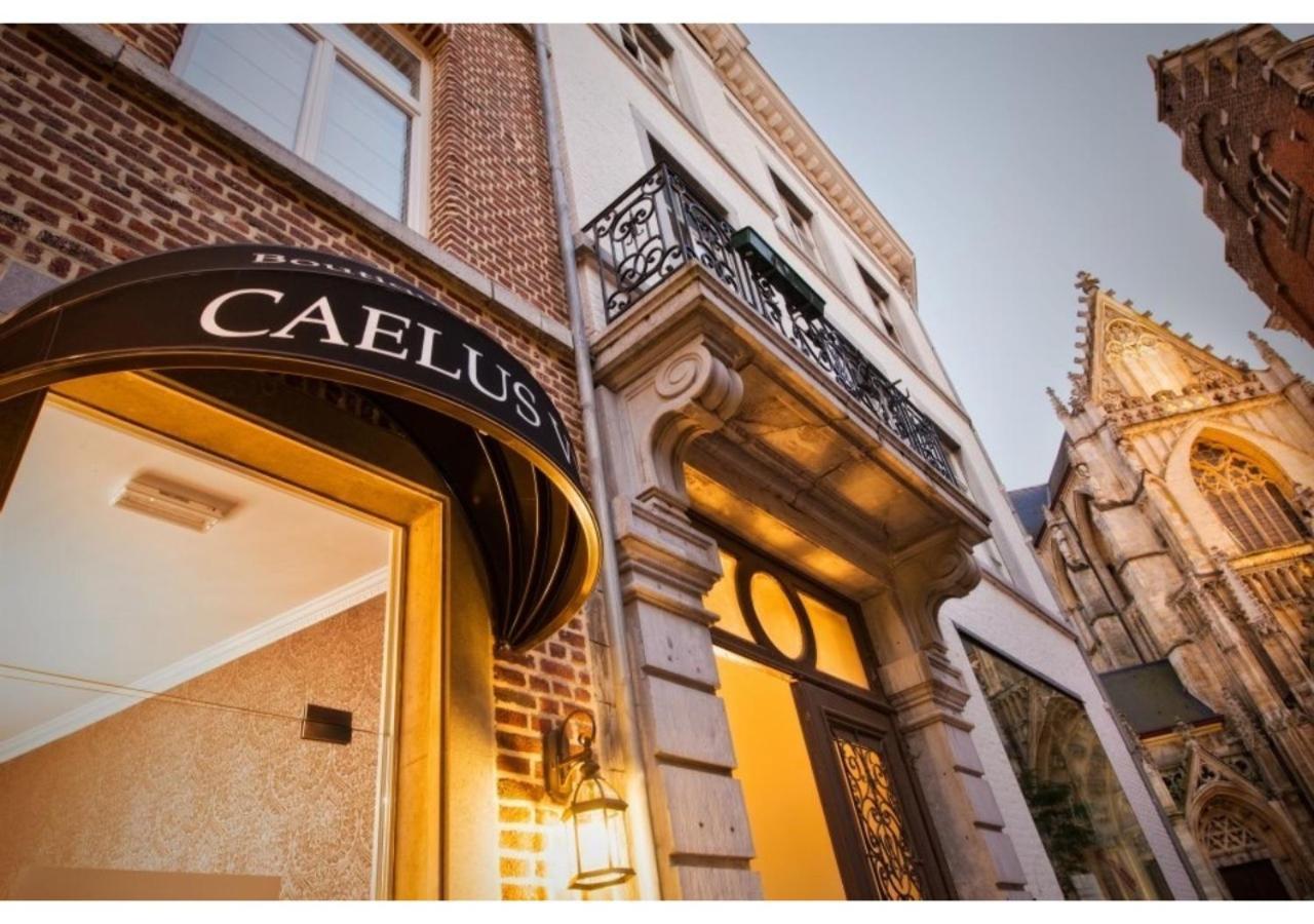 Boutique Hotel Caelus VII Tongeren Eksteriør billede